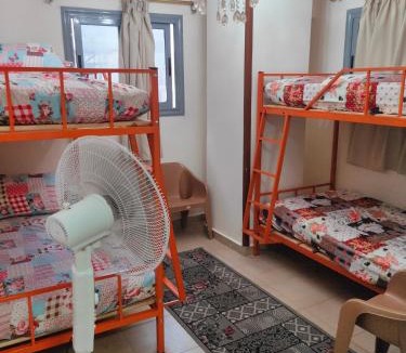 Al-Muntazah Hostel | شقق وهوستل قصر الشباب للمصريين و المقيمين فقط Youth Palace Hostel & Apartments for Egyptians & Residents Only