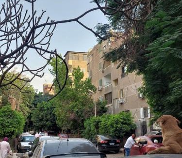 Maadi House | Private Room With garden view in Maadi