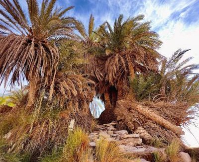 Bawati Other | White desert overnight