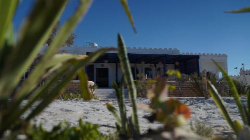 Marsa Matruh House | Dar Al Bahr