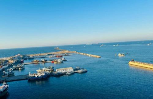 Port Said Apartment | برج زيزينيا Vip