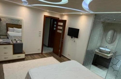 Port Said Apartment | برج زيزينيا Vip
