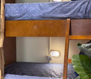 Garden City Hostel | Tutuhouse