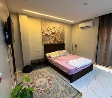 Tanta Apartment | شقة فندقية للإيجار طنطا