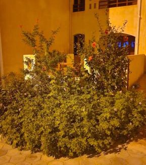 Marsa Matruh Apartment | شاليه مكيف بقريه الأندلسيه