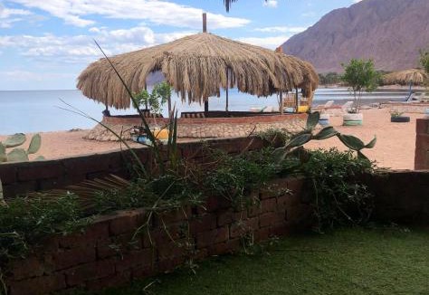 Nuweiba Other | Palm Valley camp