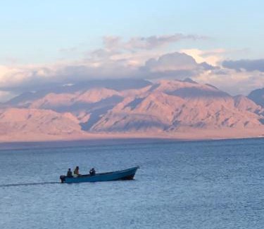 Nuweiba Other | Palm Valley camp