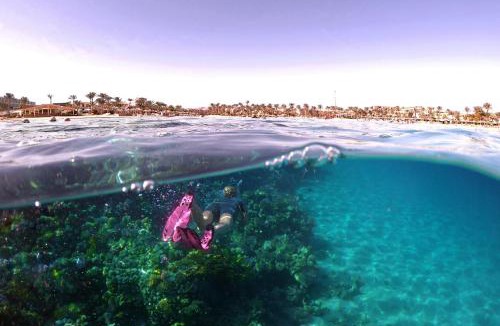 Marsa Alam Resort | Royal Brayka Beach Resort