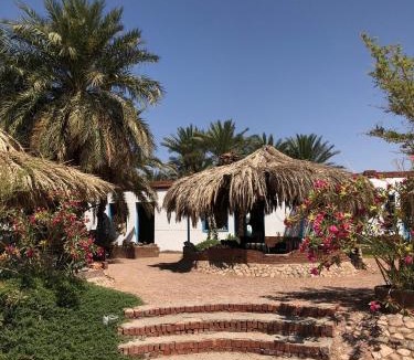 Nuweiba Other | Palm Valley camp