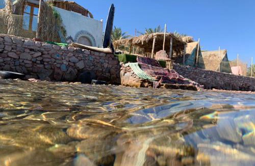 Nuweiba Other | kalima camp