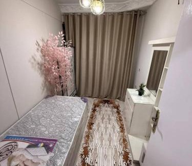 Al Mahrousah Resort | Abu sobh holiday