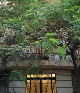 Sidi Jabir House | Smouha Zahran Haus for Private rooms or Private Apartment
