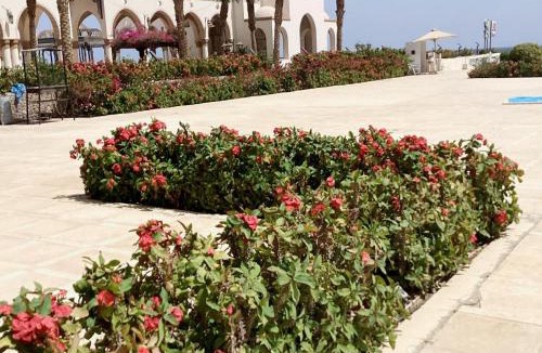 Sahl Hasheeh Apartment | Palm Beach Piazza Beachfront lovely Apartment