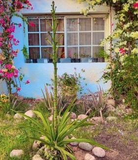 El Hadaba Apartment | Delta Sharm studio with garden view