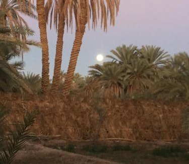 Siwa Apartment | Siwa Spot - Authentic Siwan Room with Private Patio