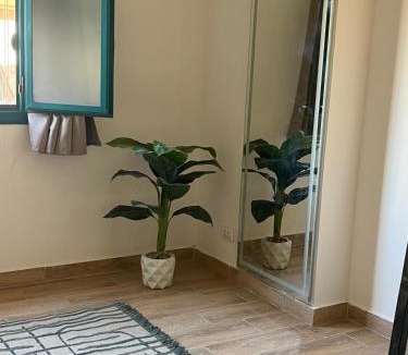 Maadi Hostel | Rafiki Hostels - Pyramids