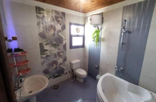 Maadi Apartment | Roof of Comfort & Calm in Maadi