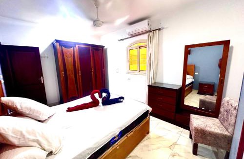 El Quseir Apartment | German Dolphin