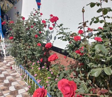 Luxor Apartment | Villa Kaslan Apartments