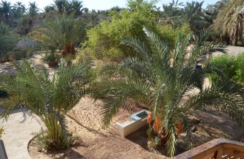 Siwa Apartment | Siwa Spot - Authentic Siwan Room with Private Patio