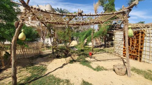 Siwa Hotel | Mountain Camp Ali Khaled