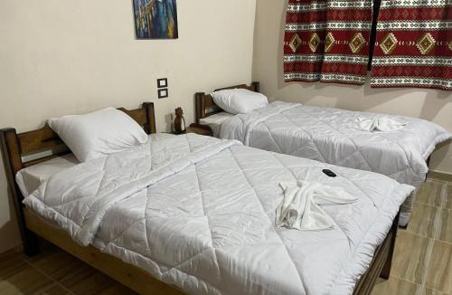 Siwa Resort | amzran hotel siwa امزران سيوة