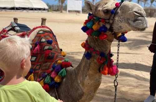 Marsa Alam Hotel | Dream Lagoon Resort & Aqua Park