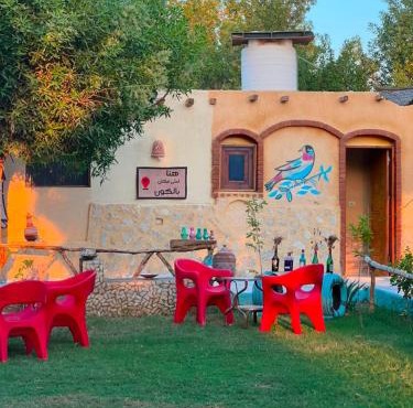 ع السنتريك كامب AlCientrick Camp in Tunis