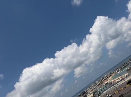 See view city square luxury apartments 42 in Alexandria