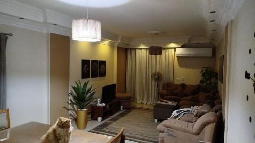 compound maadi grand city zahraa el maadi in Cairo