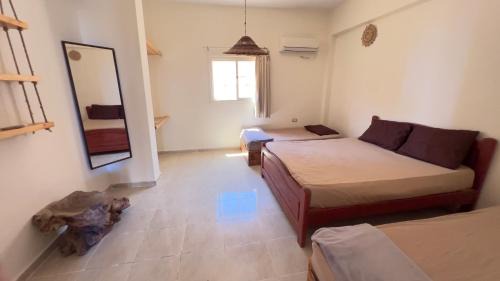 Locanda Dahab in Dahab