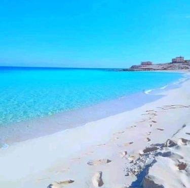 Stanly flat in Alexandria