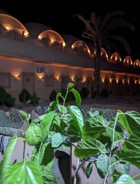 Nour El wadi in Siwa