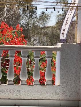 龙门客栈青年旅舍 in Marsa Matruh
