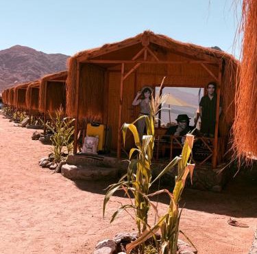 Genena Eco-lodge in Nuweiba