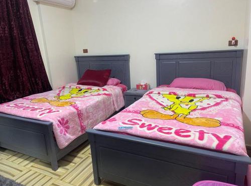 سكن في حي الجامعه in Mansoura