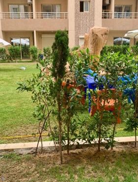 Biu Bela abartment hotel 2 in El Alamein