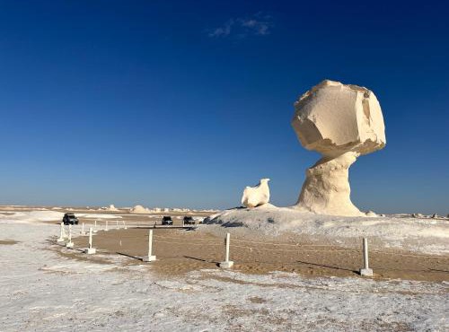 White Desert Experience in Bawiti