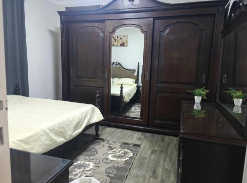شقه فندقيه علي فندق انتركونتنتال سيتي ستارز امن 24 ساعه Hotel Apartment Overlooking InterContinental Citystars with Full Services Heart of Cairo Quiet, Private for Families24H Security in Cairo
