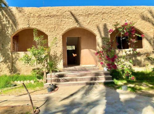 Arkan siwa أركان سيوة in Siwa