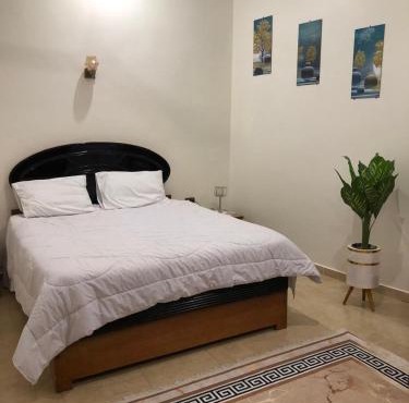 joy house in Luxor