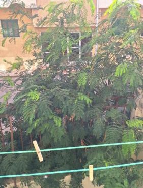 Sweet Home Hostel - للأجانب فقط in Hurghada