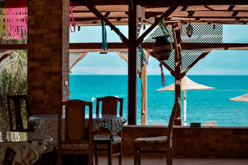 Elbadawy camp in Nuweiba