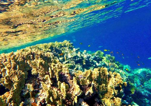 Sharm El Naga Resort and Diving Center in Hurghada